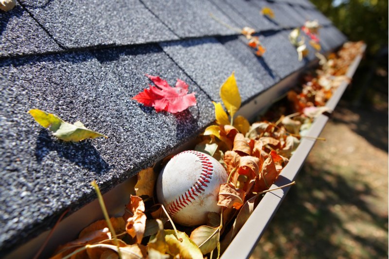 Ned_Gutter_Spring_Repair_Header