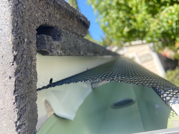 leaf-protection-top-image