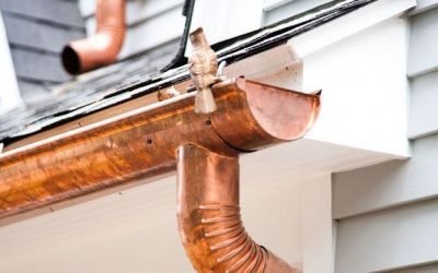 What’s Creeping and Crawling in Your Gutter?