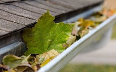 HOW OFTEN SHOULD YOU CLEAN YOUR GUTTERS?